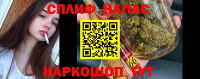 спиды Коммунар