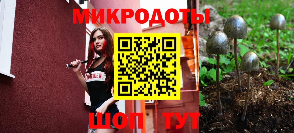 Псилоцибиновые грибы Cubensis Зеленодольск