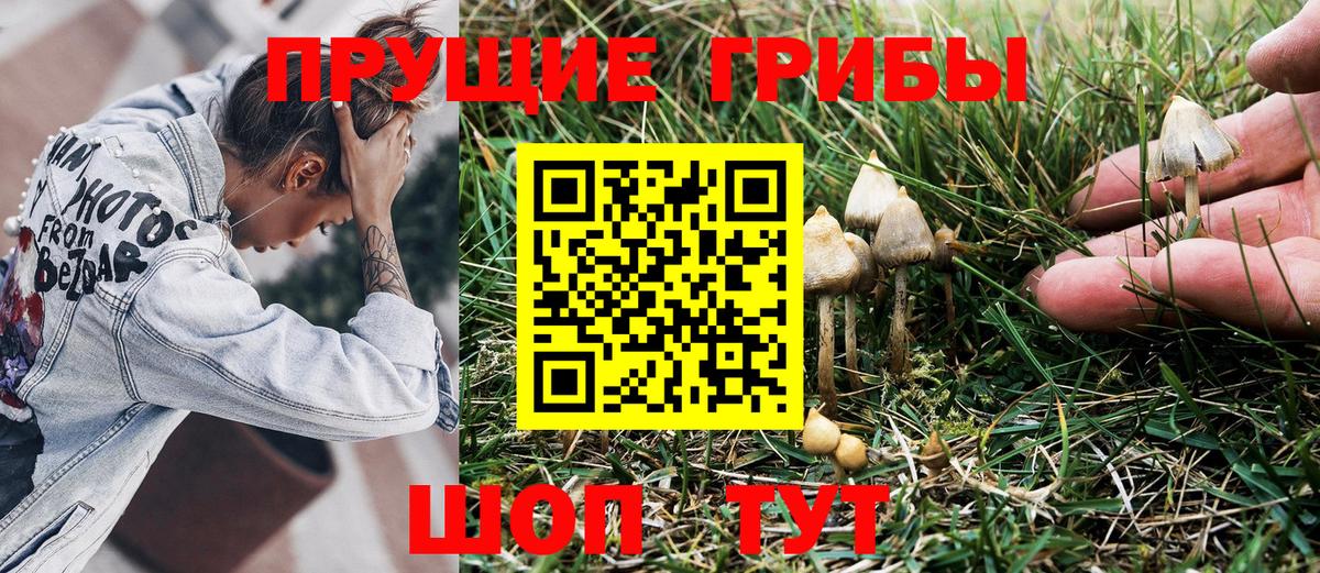 Галлюциногенные грибы Psilocybine cubensis  Вход с VPN  Зеленодольск 
